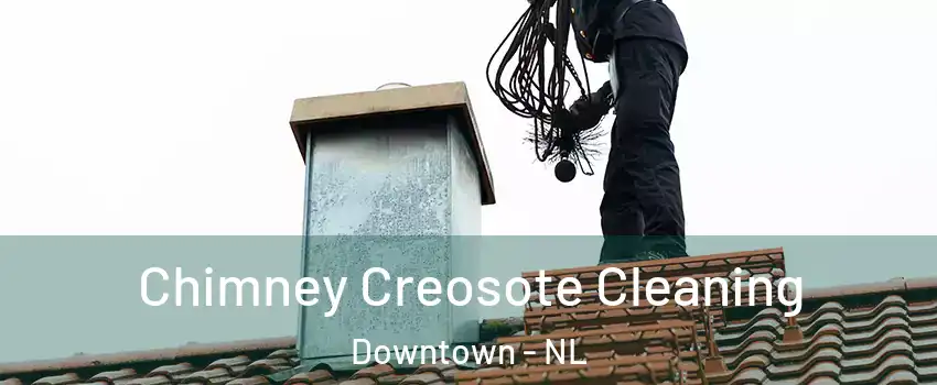  Chimney Creosote Cleaning Downtown - NL