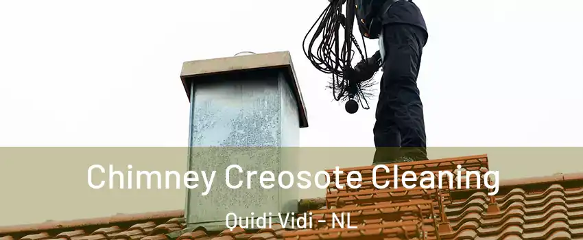  Chimney Creosote Cleaning Quidi Vidi - NL