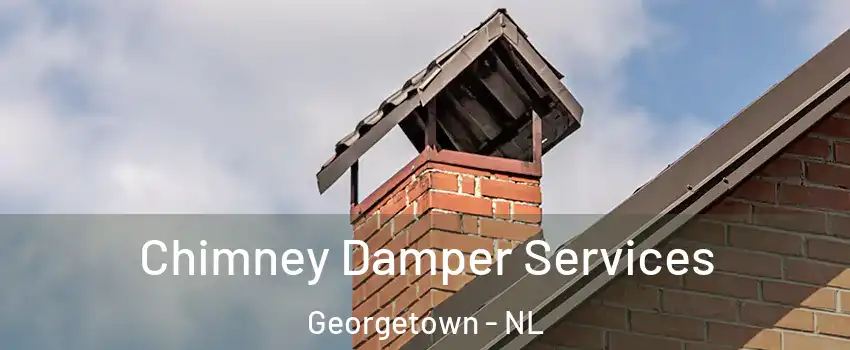 Chimney Damper Services Georgetown - NL