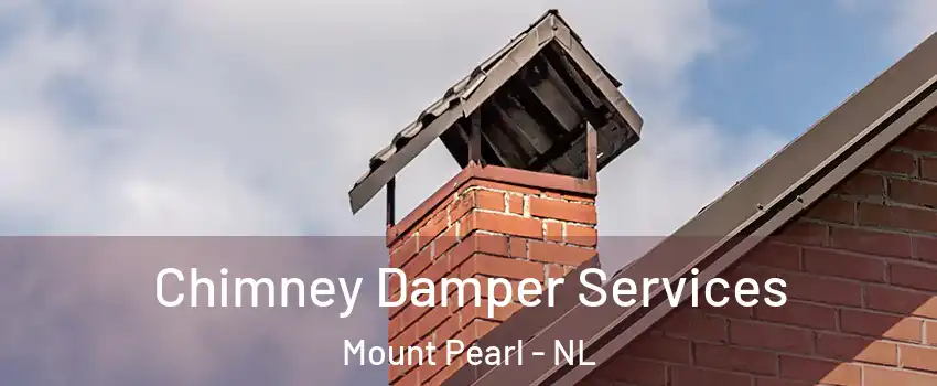  Chimney Damper Services Mount Pearl - NL
