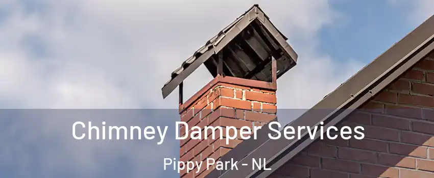  Chimney Damper Services Pippy Park - NL