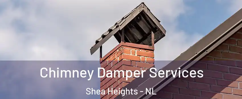 Chimney Damper Services Shea Heights - NL