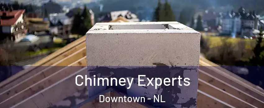 Chimney Experts Downtown - NL