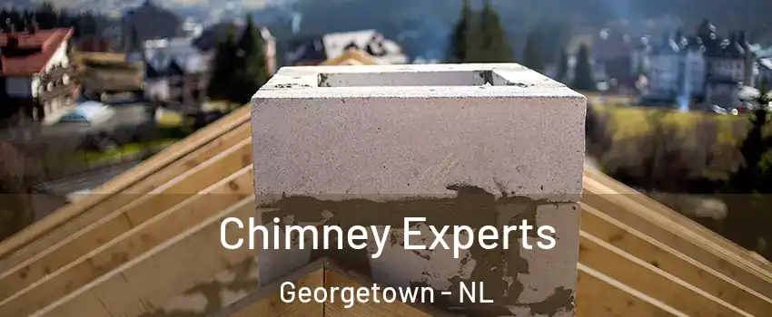Chimney Experts Georgetown - NL
