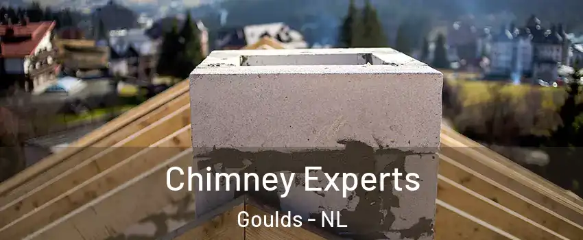 Chimney Experts Goulds - NL