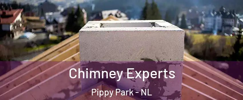 Chimney Experts Pippy Park - NL