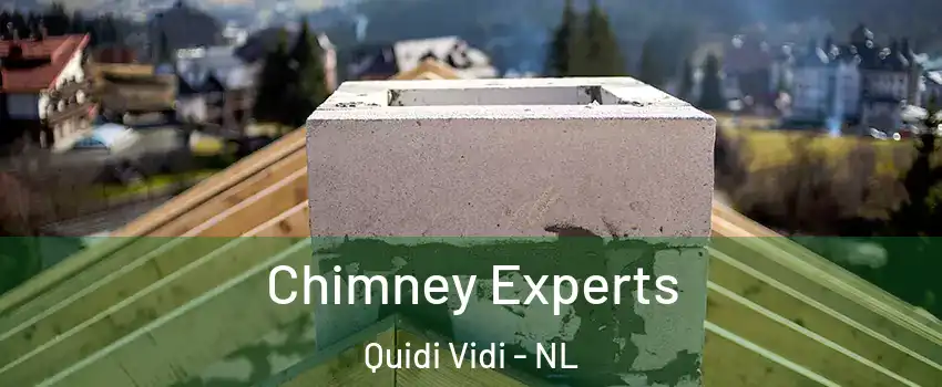 Chimney Experts Quidi Vidi - NL