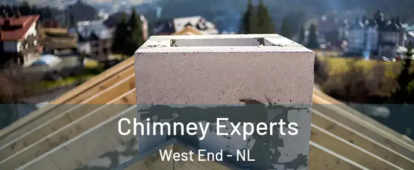 Chimney Experts West End - NL