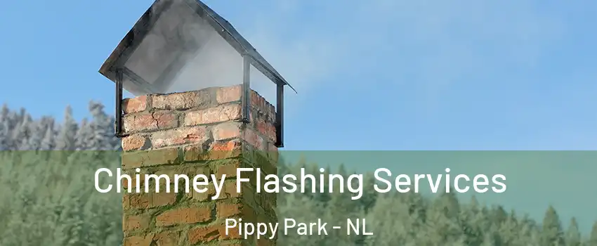 Chimney Flashing Services Pippy Park - NL