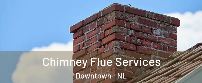  Chimney Flue Services Downtown - NL