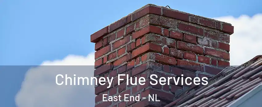  Chimney Flue Services East End - NL