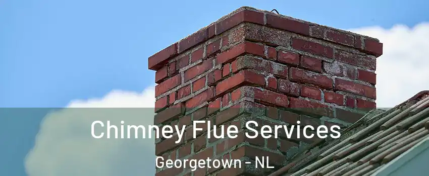  Chimney Flue Services Georgetown - NL