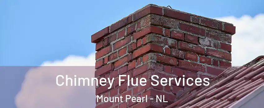  Chimney Flue Services Mount Pearl - NL
