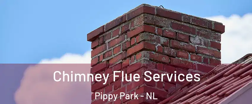  Chimney Flue Services Pippy Park - NL