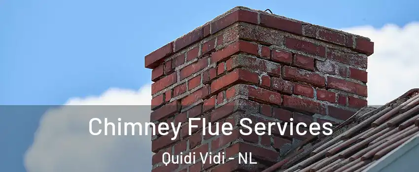  Chimney Flue Services Quidi Vidi - NL