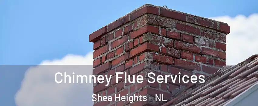  Chimney Flue Services Shea Heights - NL