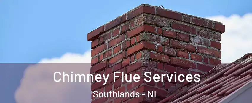  Chimney Flue Services Southlands - NL