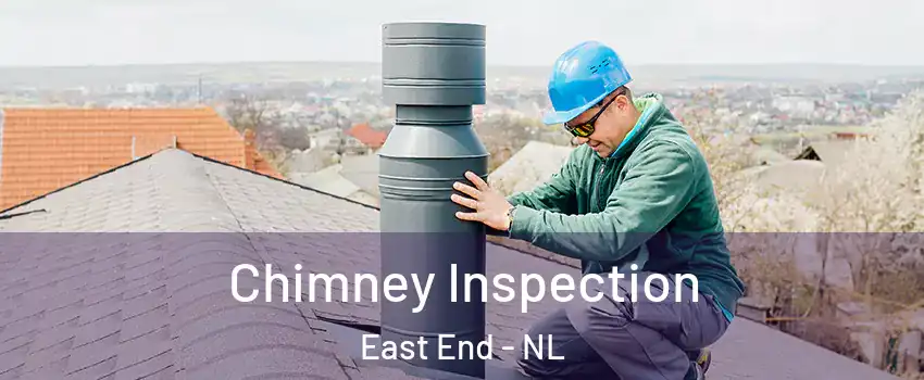  Chimney Inspection East End - NL