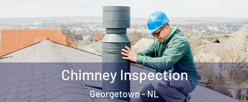  Chimney Inspection Georgetown - NL