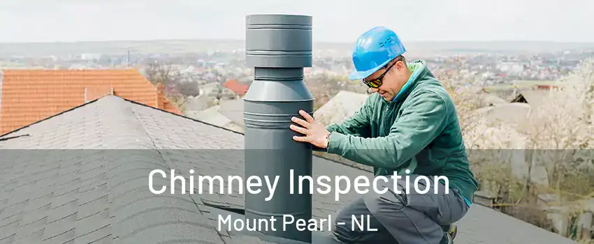 Chimney Inspection Mount Pearl - NL