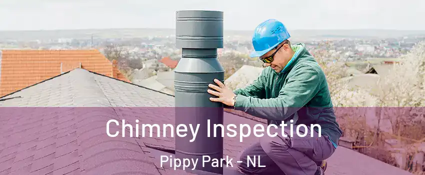  Chimney Inspection Pippy Park - NL