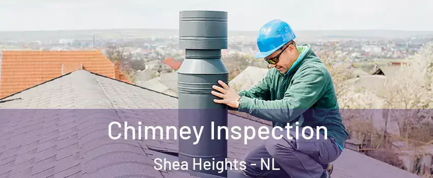  Chimney Inspection Shea Heights - NL