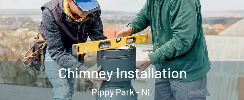  Chimney Installation Pippy Park - NL
