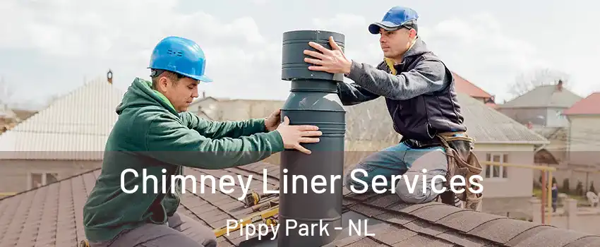  Chimney Liner Services Pippy Park - NL