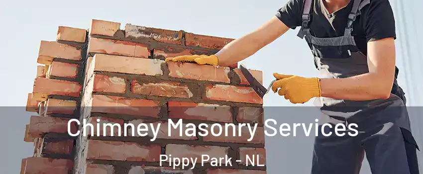  Chimney Masonry Services Pippy Park - NL
