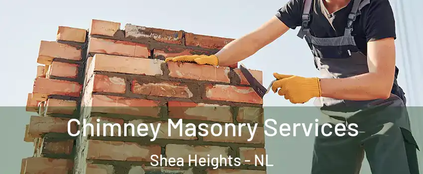  Chimney Masonry Services Shea Heights - NL