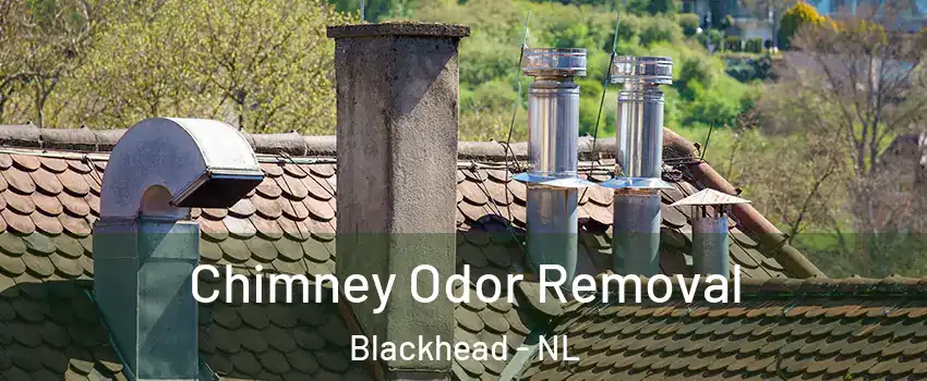  Chimney Odor Removal Blackhead - NL
