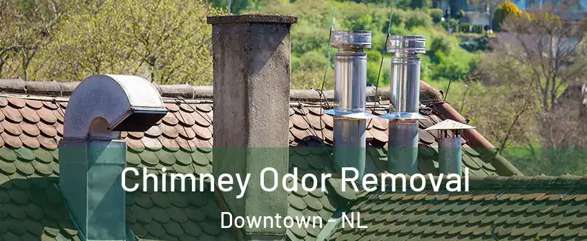  Chimney Odor Removal Downtown - NL