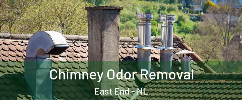  Chimney Odor Removal East End - NL