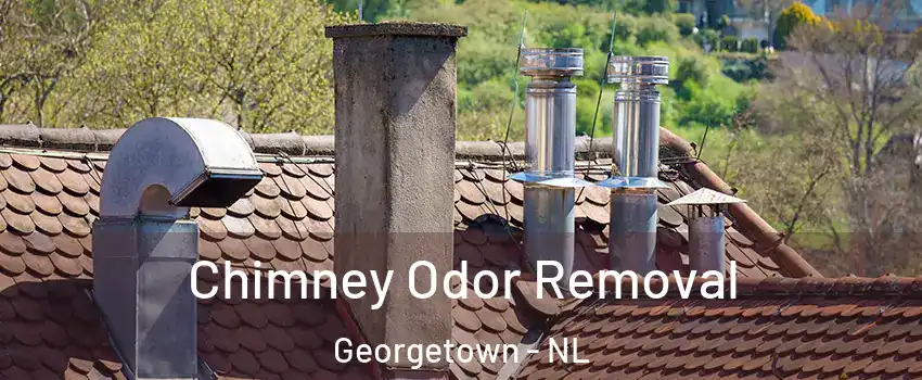  Chimney Odor Removal Georgetown - NL