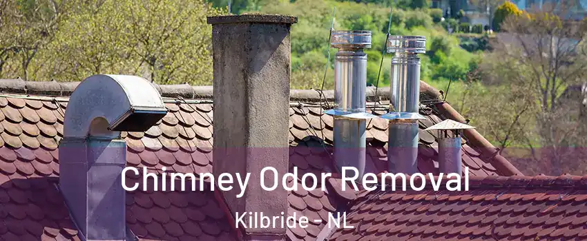  Chimney Odor Removal Kilbride - NL