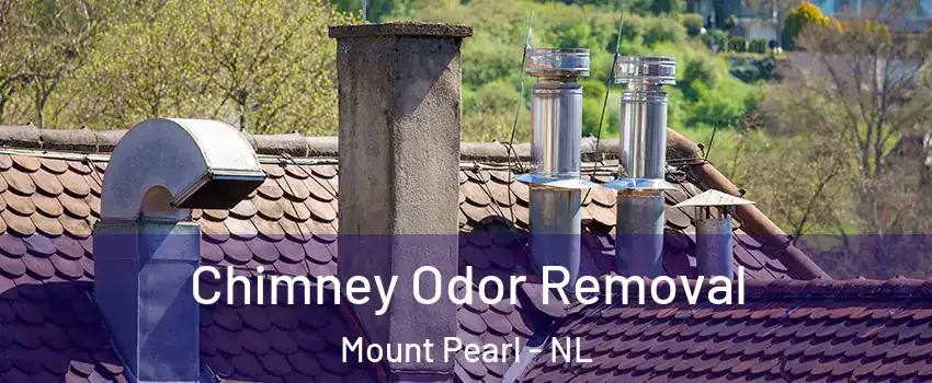  Chimney Odor Removal Mount Pearl - NL