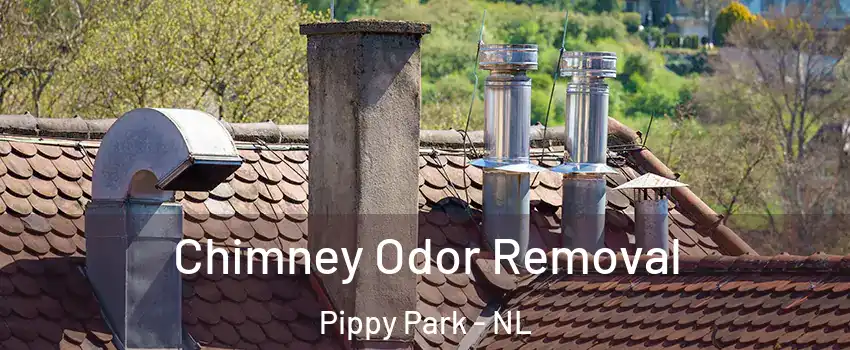  Chimney Odor Removal Pippy Park - NL