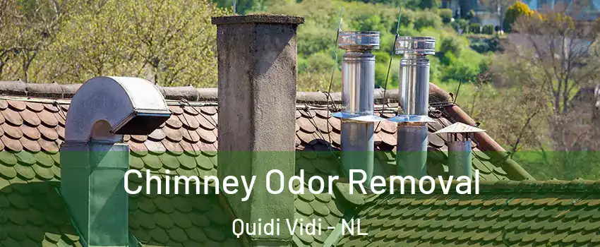 Chimney Odor Removal Quidi Vidi - NL