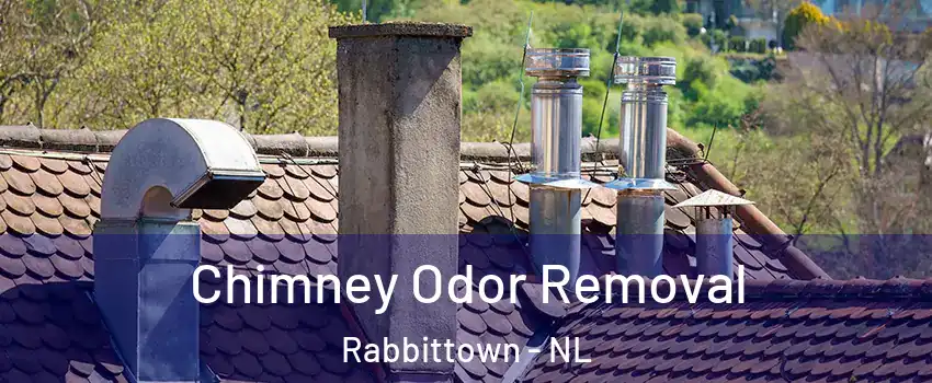  Chimney Odor Removal Rabbittown - NL