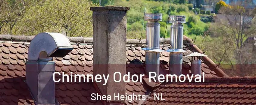  Chimney Odor Removal Shea Heights - NL