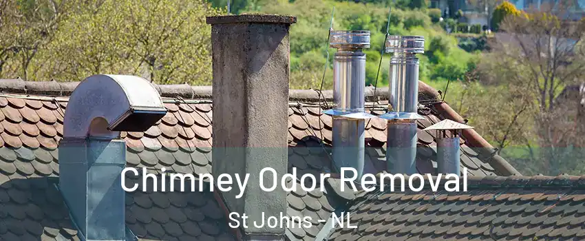  Chimney Odor Removal St Johns - NL