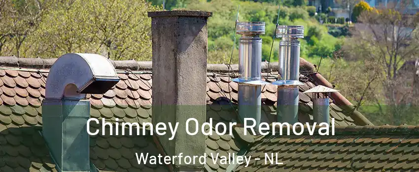  Chimney Odor Removal Waterford Valley - NL