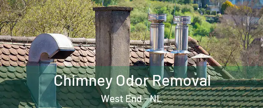  Chimney Odor Removal West End - NL