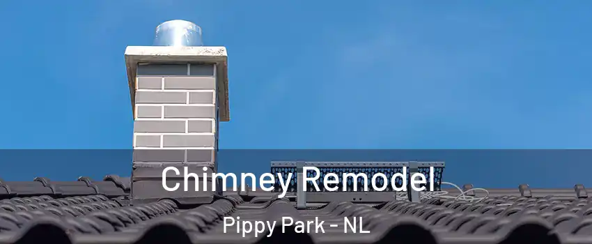 Chimney Remodel Pippy Park - NL
