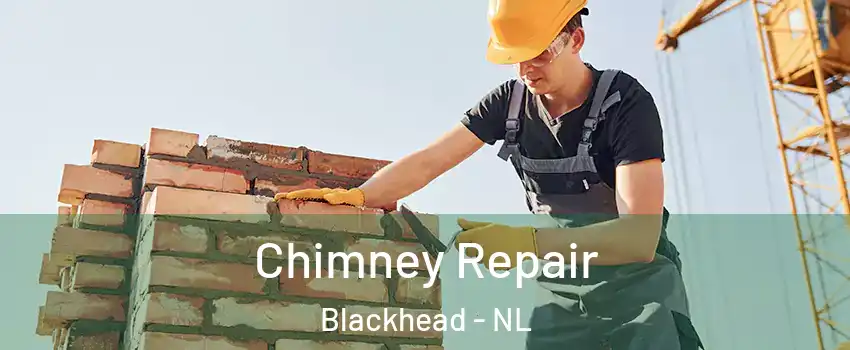 Chimney Repair Blackhead - NL