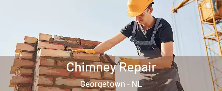  Chimney Repair Georgetown - NL