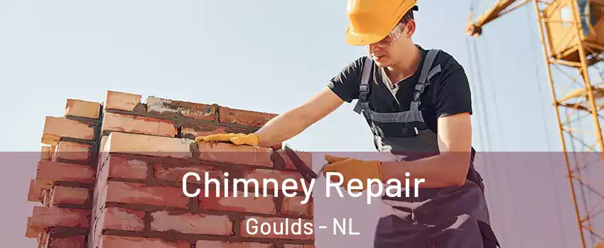  Chimney Repair Goulds - NL