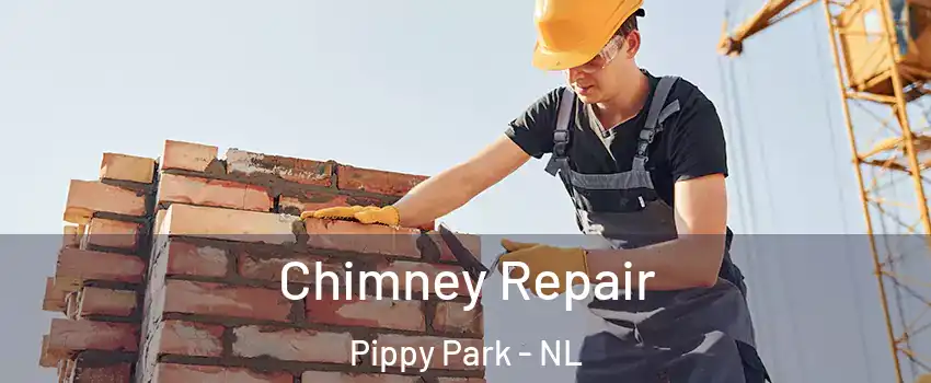  Chimney Repair Pippy Park - NL