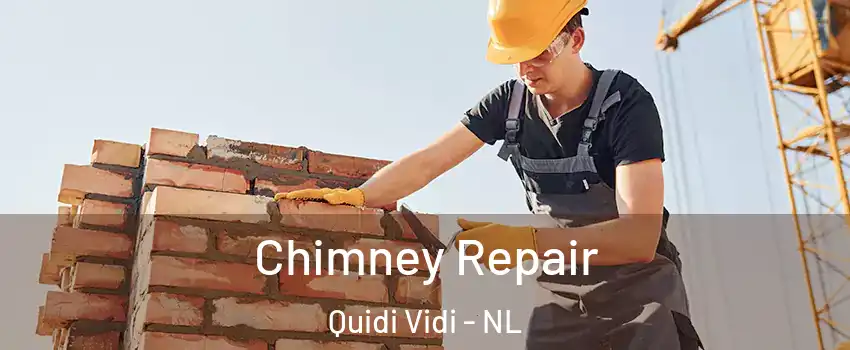  Chimney Repair Quidi Vidi - NL