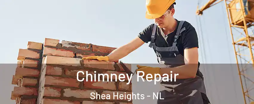  Chimney Repair Shea Heights - NL
